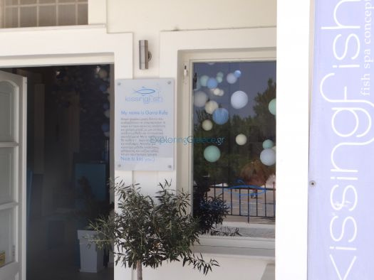 Kissing fish Spa