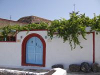 Cyclades - Santorini - Messaria - Canava Santino