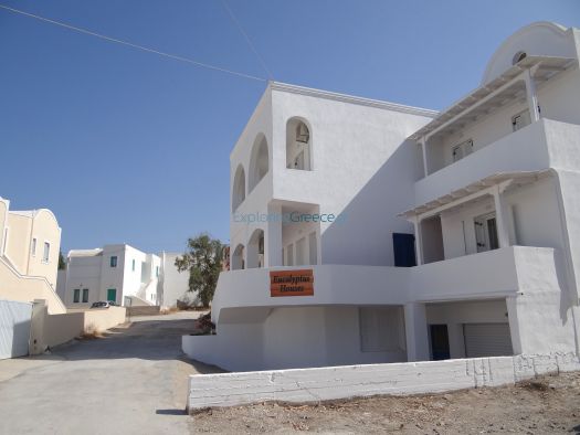 Cyclades - Santorini - Messaria - Eucalyptus Houses
