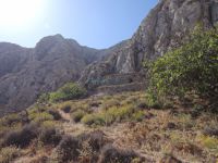 Cyclades - Santorini - Pirgos - Aga Spring