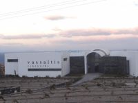 Vassaltis vineyard
