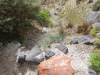 Santorini - Megalochori - Path to Thermi