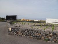 Santorini - Megalochori - Vassaltis Inopiio