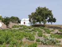 Santorini - Vothonas - Saint John