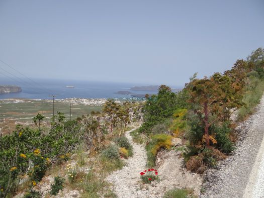 Santorini - Path 1: Pirgos - Prophet Elias